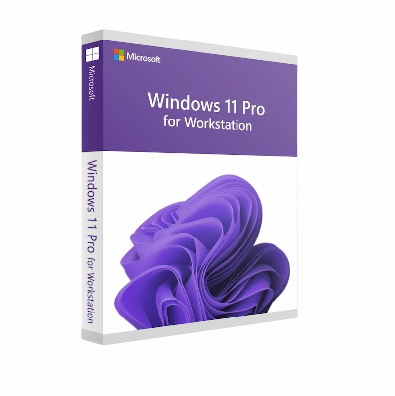 Windows 11 Pro Workstations